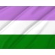 Flag of Genderqueer Pride, Unique Design Print, Flags for Indoor & Outdoor Use - Imagine 2