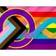 Flag of Infinite Progress Pride, Unique Design Print, Flags for Indoor & Outdoor Use - Imagine 2