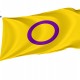 Intersex Flag for Indoor & Outdoor Use - Imagine 1