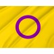 Intersex Flag for Indoor & Outdoor Use - Imagine 2