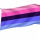 Omnisexuality Pride Flag for Indoor & Outdoor Use - Imagine 1
