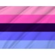 Omnisexuality Pride Flag for Indoor & Outdoor Use - Imagine 2