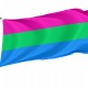 Flag of Polysexual, Unique Design Print, Flags for Indoor & Outdoor Use - Imagine 1