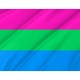 Flag of Polysexual, Unique Design Print, Flags for Indoor & Outdoor Use - Imagine 2