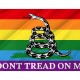 Rainbow Gadsden Flag for Indoor & Outdoor Use - Imagine 2