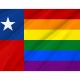 Chile Gay Flag for Indoor & Outdoor Use - Imagine 2