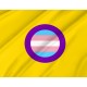 Flag of Trans Intersex Pride, Unique Design Print, Flags for Indoor & Outdoor Use - Imagine 2