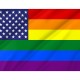 United States Gay Flag for Indoor & Outdoor Use - Imagine 2
