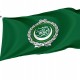 Arab League Flag for Indoor & Outdoor Use - Imagine 1
