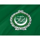 Arab League Flag for Indoor & Outdoor Use - Imagine 2