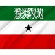 Somaliland Flag for Indoor & Outdoor Use - Imagine 2