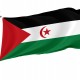 Western Sahara Flag for Indoor & Outdoor Use - Imagine 1