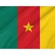 Cameroon Flag for Indoor & Outdoor Use - Imagine 2