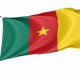 Cameroon Flag for Indoor & Outdoor Use - Imagine 1