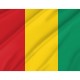 Guinea Flag for Indoor & Outdoor Use - Imagine 2