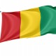 Guinea Flag for Indoor & Outdoor Use - Imagine 1