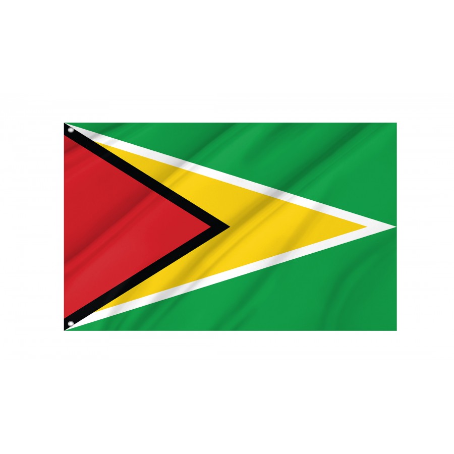 Flag of Guyana, Patriotic Flags, Unique Design Print, Flags for Indoor & Outdoor Use
