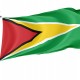 Guyana Flag for Indoor & Outdoor Use - Imagine 1