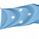 Flag of Micronesia, Patriotic Flags, Unique Design Print, Flags for Indoor & Outdoor Use - Imagine 1