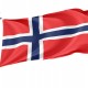Norway Flag for Indoor & Outdoor Use - Imagine 1