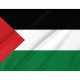 Flag of Palestine, Patriotic Flags, Unique Design Print, Flags for Indoor & Outdoor Use