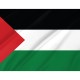 Flag of Palestine, Patriotic Flags, Unique Design Print, Flags for Indoor & Outdoor Use - Imagine 2