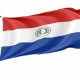 Paraguay Flag for Indoor & Outdoor Use - Imagine 1