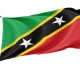 Saint Kitts and Nevis Flag for Indoor & Outdoor Use - Imagine 1