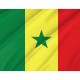 Senegal Flag for Indoor & Outdoor Use - Imagine 2