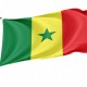 Senegal Flag for Indoor & Outdoor Use - Imagine 1