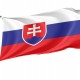 Slovakia Flag for Indoor & Outdoor Use - Imagine 1