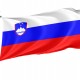 Slovenia Flag for Indoor & Outdoor Use - Imagine 1