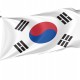 South Korea Flag for Indoor & Outdoor Use - Imagine 1