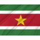 Suriname Flag for Indoor & Outdoor Use - Imagine 2