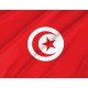 Tunisia Flag for Indoor & Outdoor Use - Imagine 2