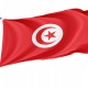 Tunisia Flag for Indoor & Outdoor Use - Imagine 1
