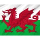 Flag of Wales, Patriotic Flags, Unique Design Print, Flags for Indoor & Outdoor Use