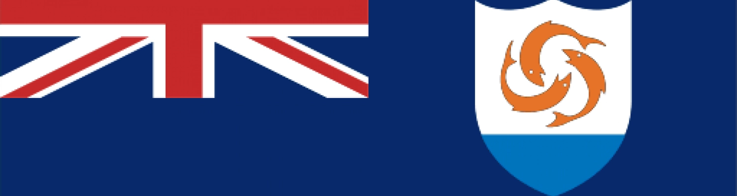 Flag Design 101: What Makes a National Flag Memorable? - ShopFlagWorld Flag Design 101: What Makes a National Flag Memorable?