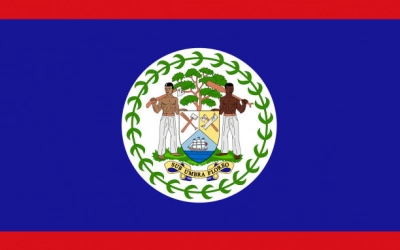 Insignia of Identity: How Flags Define Nations