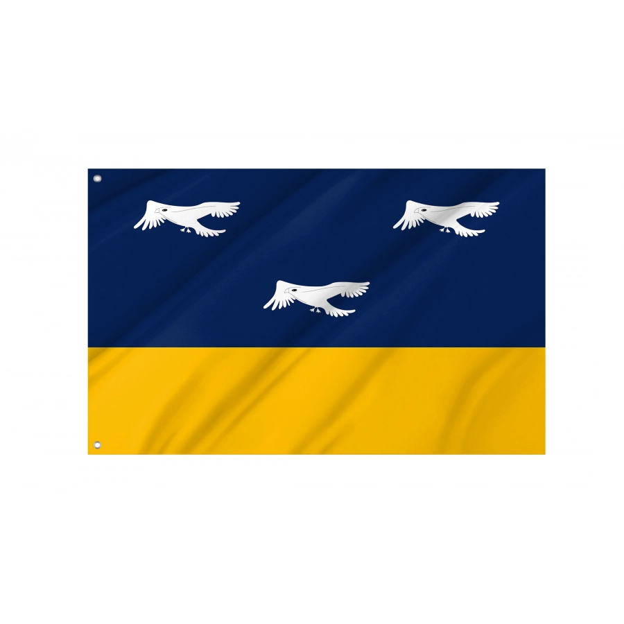 Arapongas Flag for Indoor & Outdoor Use, BRAZIL--17