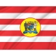 Blumenau Flag for Indoor & Outdoor Use - Imagine 2