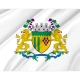 Caxias do Sul Flag for Indoor & Outdoor Use - Imagine 2