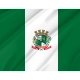 Chapecó Flag for Indoor & Outdoor Use - Imagine 2