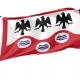 Garanhuns Flag for Indoor & Outdoor Use - Imagine 1