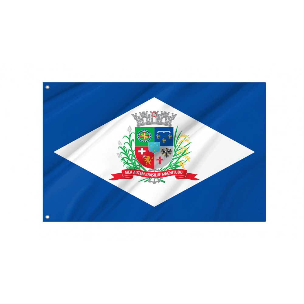 Joinville Flag for Indoor & Outdoor Use