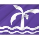 Macae Flag for Indoor & Outdoor Use - Imagine 2