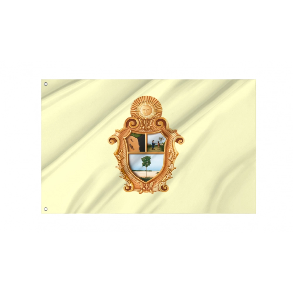 Manaus Flag for Indoor & Outdoor Use