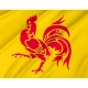 Wallonia Flag for Indoor & Outdoor Use - Imagine 2