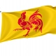 Wallonia Flag for Indoor & Outdoor Use - Imagine 1