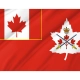 Canadian Army Flag for Indoor & Outdoor Use - Imagine 2